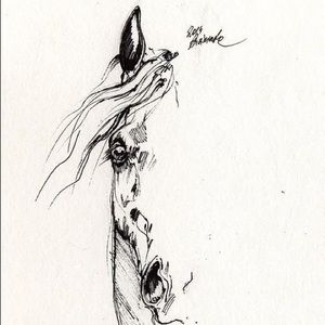 Meet your Posher, Debra